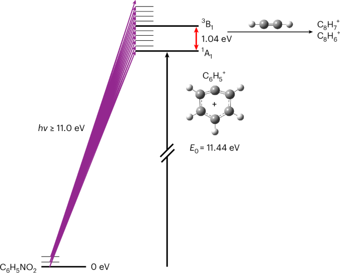 Reply to: Evidence for phenylium reactivity under interstellar-relevant conditions