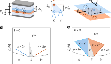 Trion Hall effect in electron–hole double layers