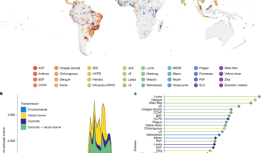 The anthropogenic fingerprint on emerging infectious diseases