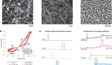 Self-organizing memristive networks as physical learning systems