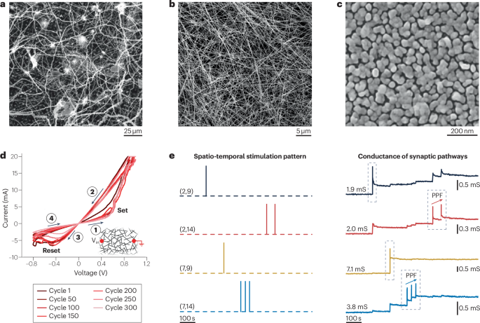 Self-organizing memristive networks as physical learning systems