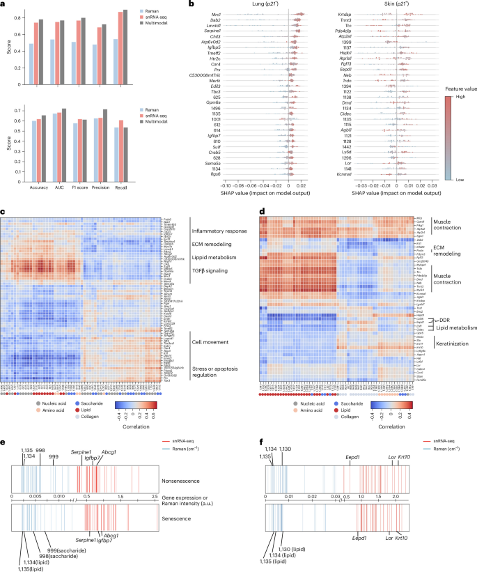 Fig. 5: Multimodal integration and characterization of senescent cells.