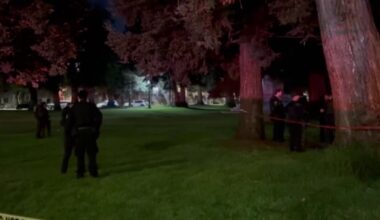 Authorities investigate another possible mountain lion sighting in San Francisco – NBC Bay Area