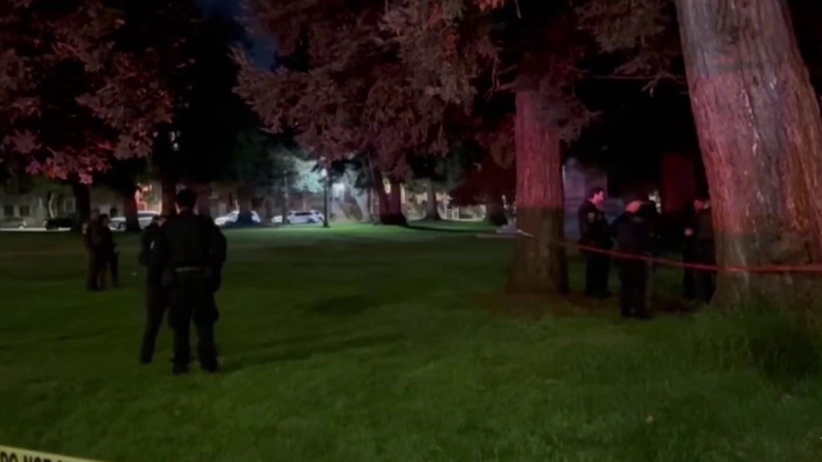 Authorities investigate another possible mountain lion sighting in San Francisco – NBC Bay Area