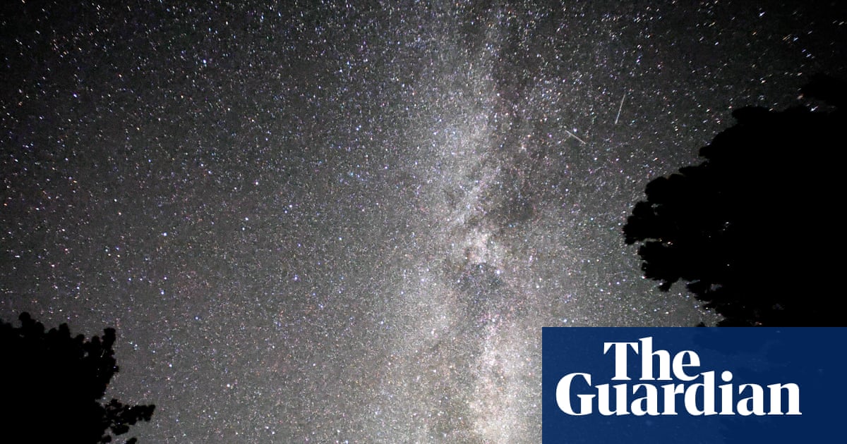The night sky is getting 10% brighter every year. We’re forgetting what darkness feels like | Environment