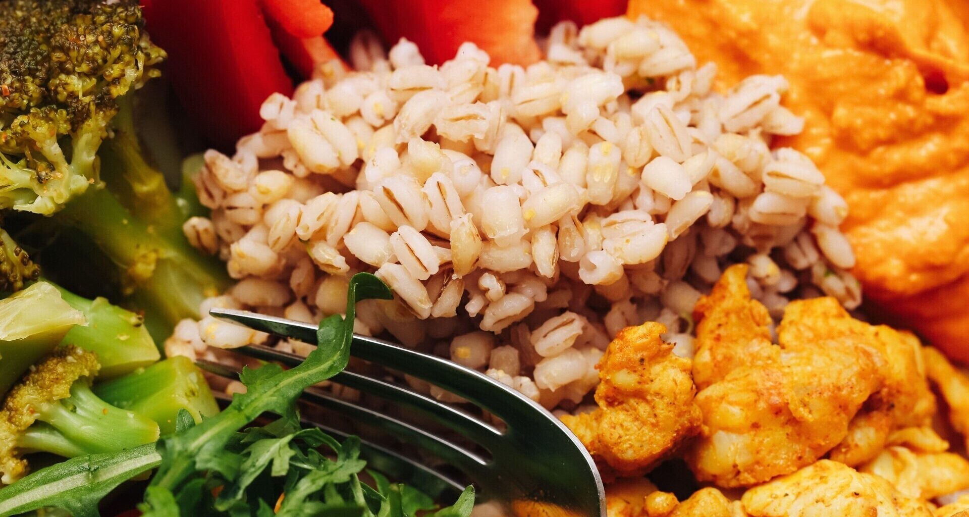 Fibre or protein? Which is really more important