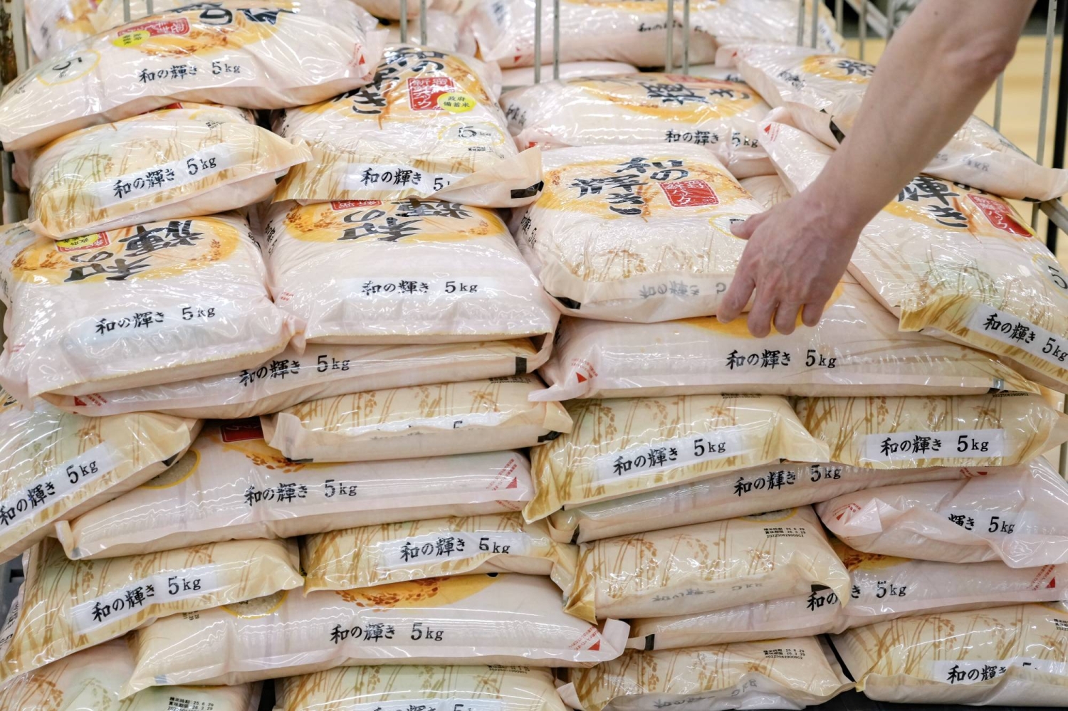 Rice prices fall below ¥3,000 for first time in two years