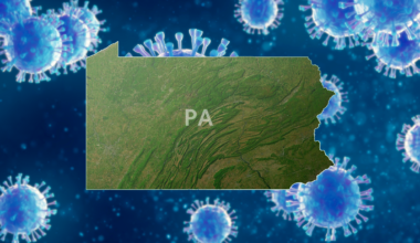 County officials confirm first measles-related death