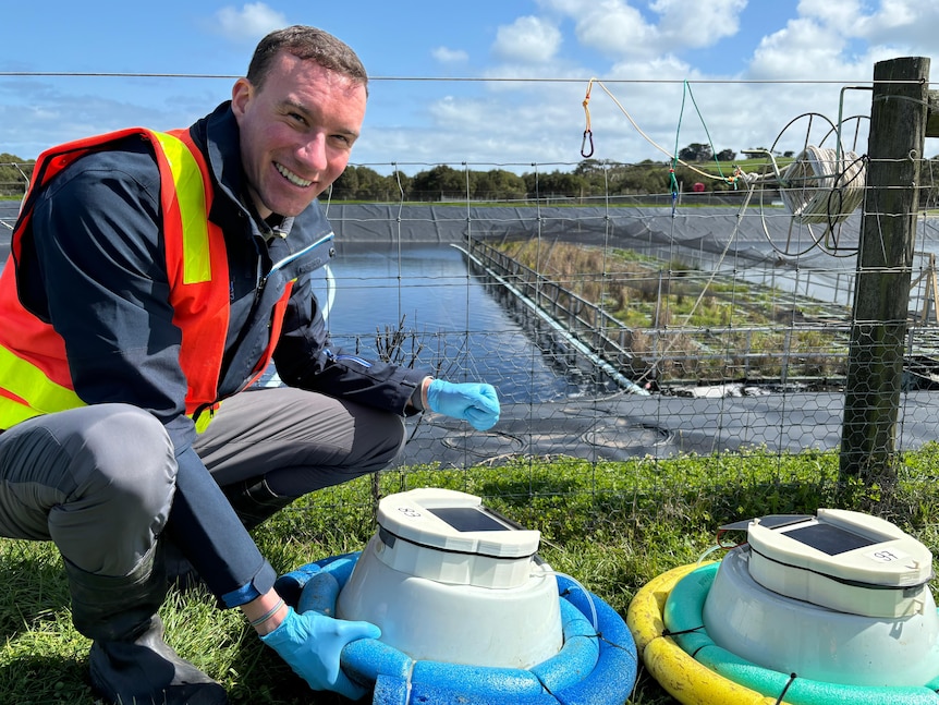 A man wearing a high-vis vest, blue gloves, crouching down near a floating wetland