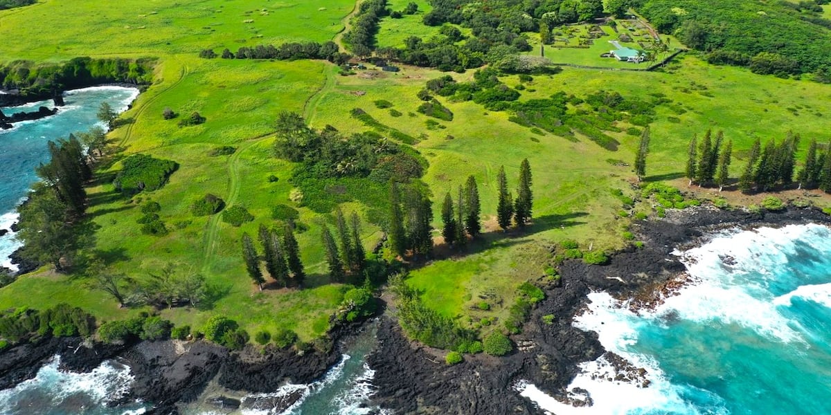 DLNR Legacy Land Conservation Program opens land acquisition grants