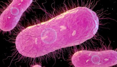 Health officials investigating Salmonella outbreak across Cache and Box Elder counties | News