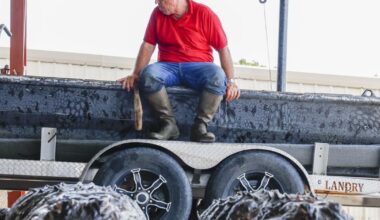 Meet Troy Landry, the king of Louisiana’s ‘Swamp People’ | Movies/TV
