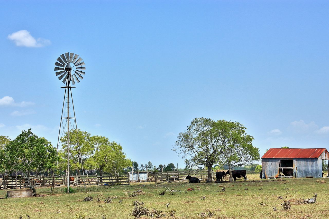 Farmland in TexasCredit: Getty