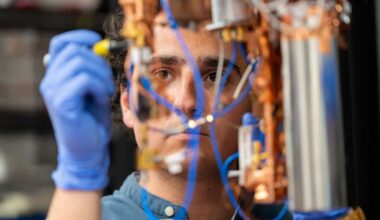 Noise that entangles may accelerate the dawn of quantum technologies – Physics World