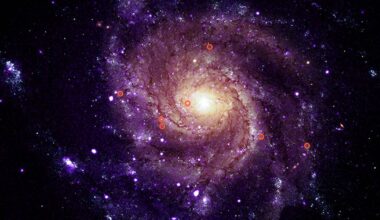 Space scientists discover "mysterious objects" unlike anything seen before | World | News