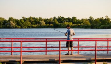 How this Toronto park became an international model for ecological restoration