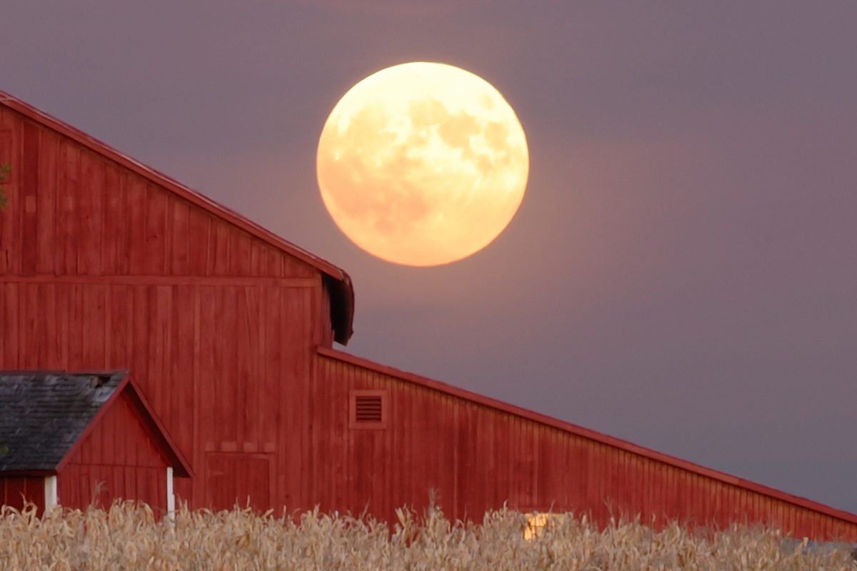 Harvest Moon. Credit: srbeckle / Getty Images