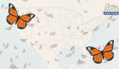 Monarch butterfly migration map shows peak times
