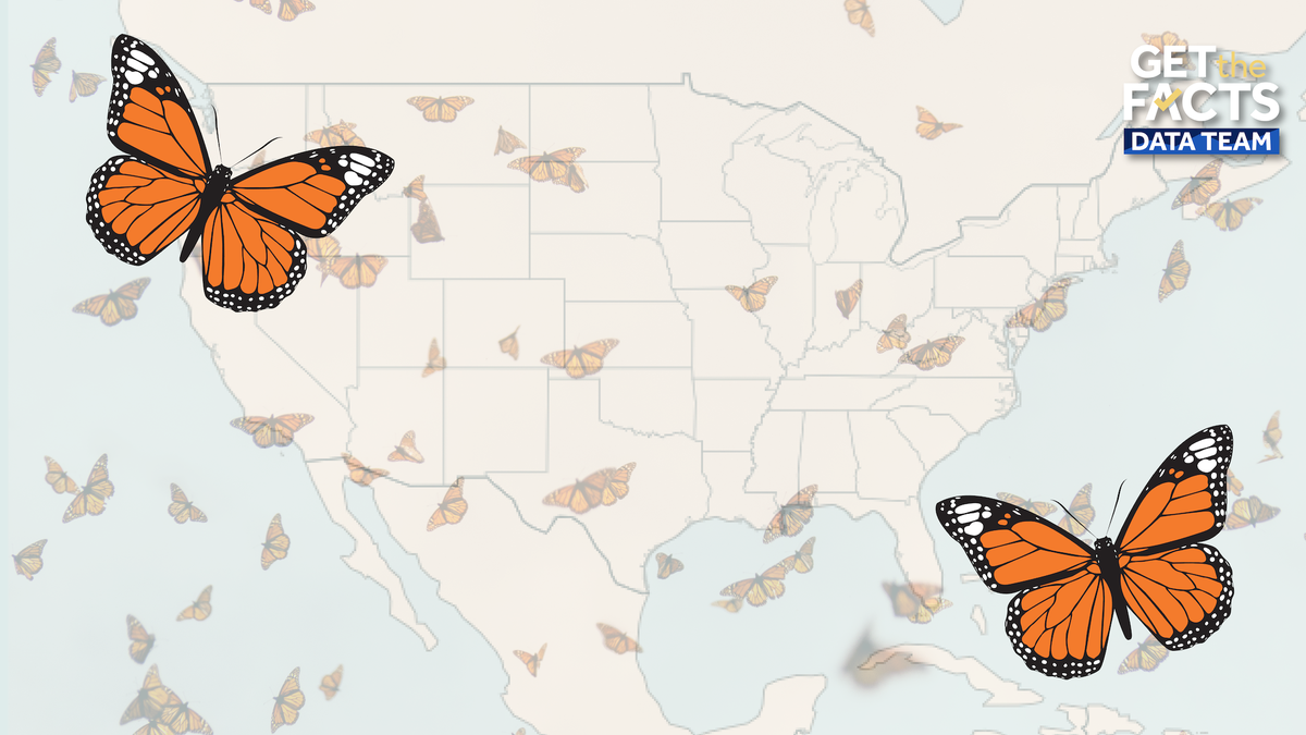 Monarch butterfly migration map shows peak times