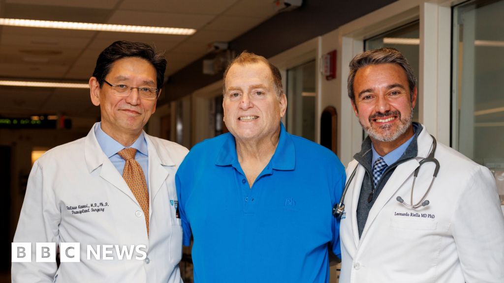 Pig kidney works in human body for 271 days - is this the future of organ transplants? - BBC
