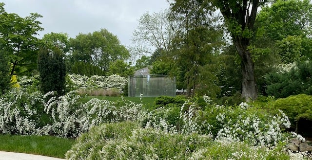 A Dan Graham sculpture at Prospect Gardens is sited in a grassy space with mature viburnum - Photo by Cindy Shumate