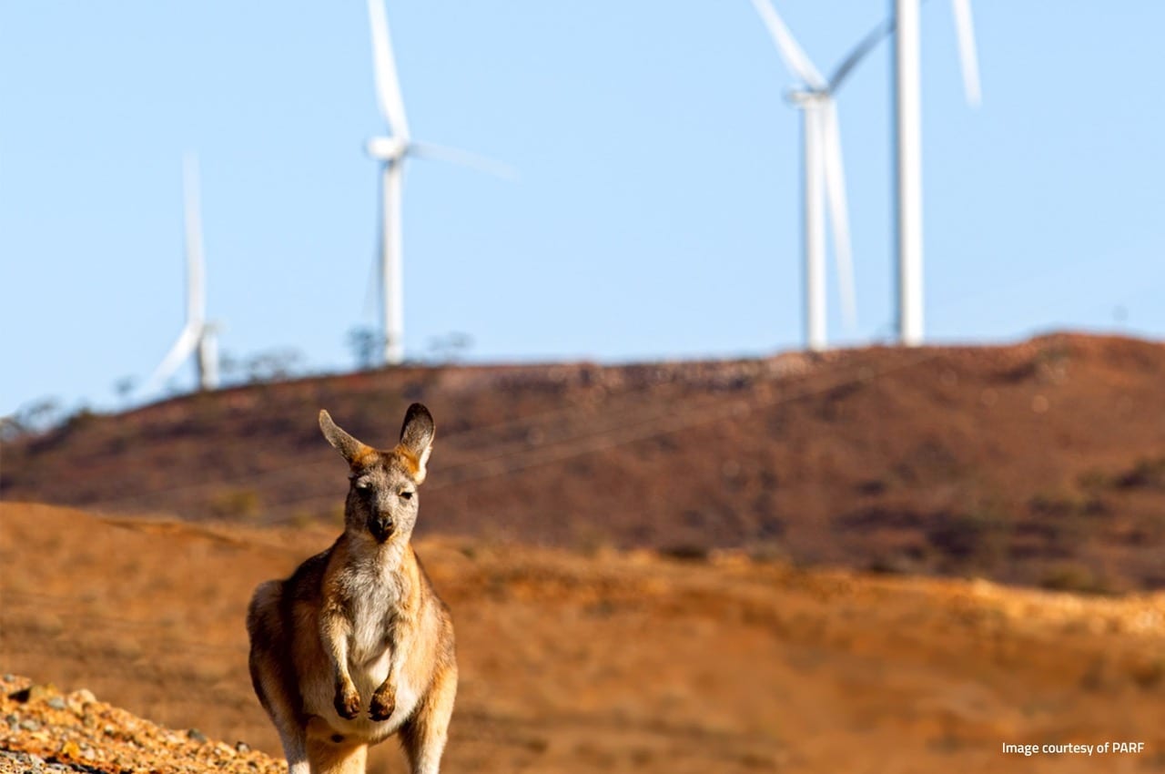 Renewables hit more than 80 pct of grid demand for first time