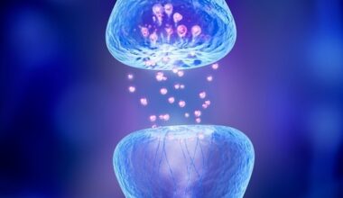 Novel computing platform models brain cell changes in autism