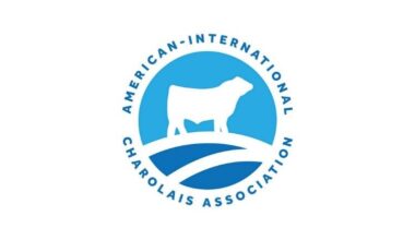 Kansas State lifecycle assessment demonstrates economic advantage of Charolais genetics