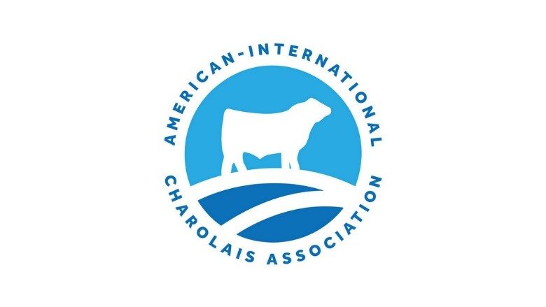 Kansas State lifecycle assessment demonstrates economic advantage of Charolais genetics