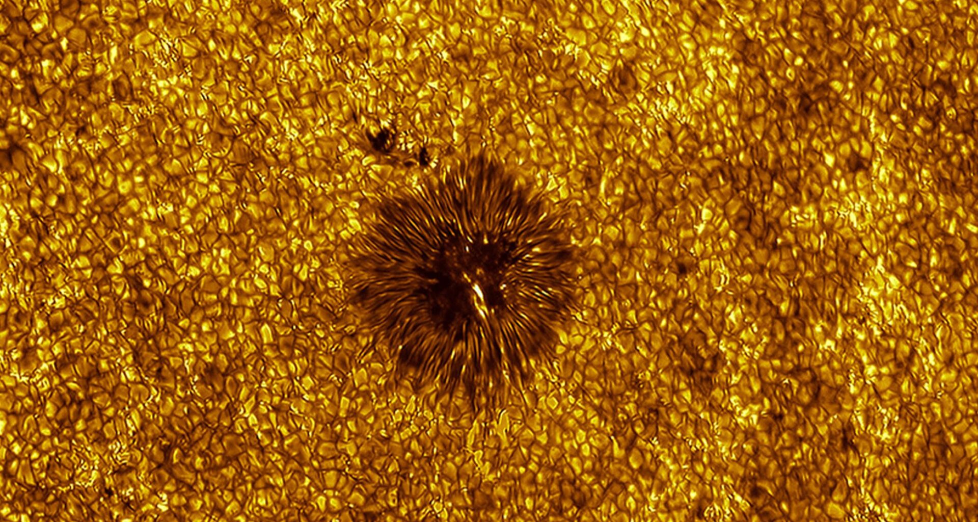 “After several attempts, a perfect opportunity eventually arose,” says award-winning astrophotographer on his super-detailed shot of Sun’s surface