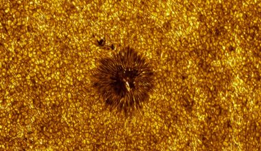 “After several attempts, a perfect opportunity eventually arose,” says award-winning astrophotographer on his super-detailed shot of Sun’s surface