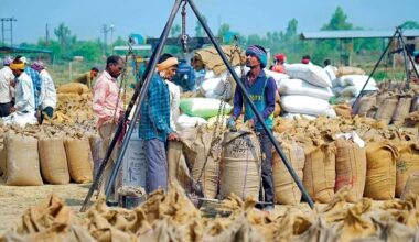 India’s Small Firms Need Markets: Why Credit Alone Can’t Grow the Informal Economy