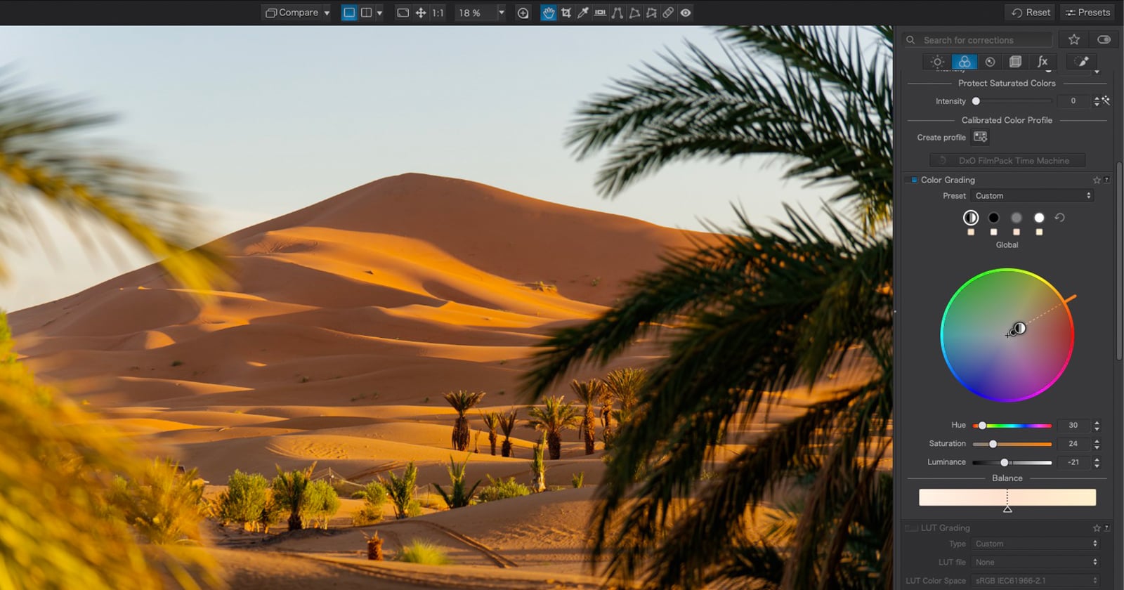 A desert landscape with sand dunes and palm trees is displayed in a photo editing software interface with color grading controls visible on the right.