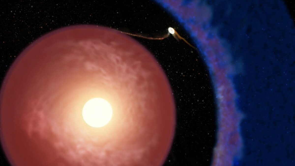 Astronomers Just Found the Youngest Planet Ever Seen. It Shouldn't Be So Huge