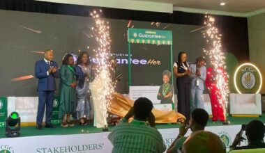 FG Backs N100bn GuaranteeHer Scheme to Finance 20,000 Women-Owned