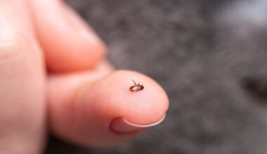 Los Angeles Has a Flea Problem—and It's Fueling Typhus Outbreaks