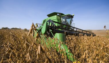 A John Deere combine harvests a healthy crop of soybeans in Autumn/near Northland, Minnesota. (Richard Hamilton Smith/Design Pics Editorial/Universal Images Group via Getty Images)