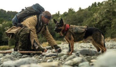 'Heart of the Beast' Review: Brad Pitt in a Stirring Survival Saga