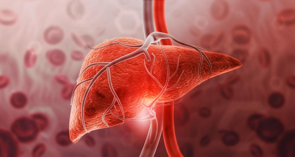 Keto diet delivers bigger drop in liver fat and blood sugar than rival diets (Photo: Shutterstock) כבד אדם