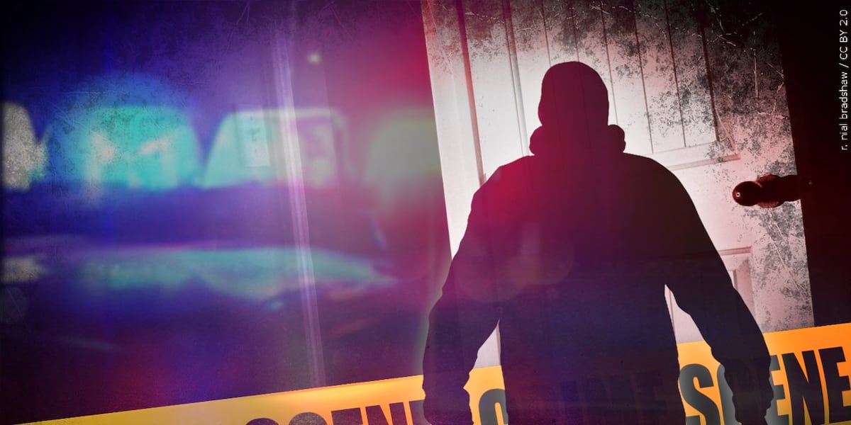 Holyoke man arrested after alleged downtown business break-in