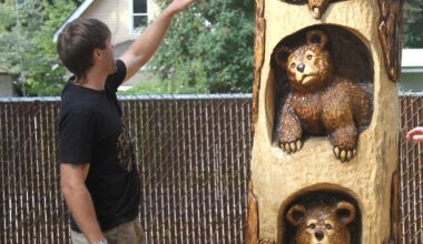 Artist gives tree new life