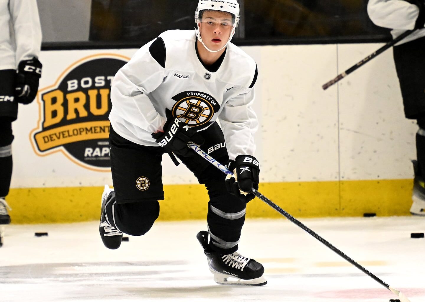 James Hagens (will look to establish a full-time role with the Bruins in his first full season with the team.