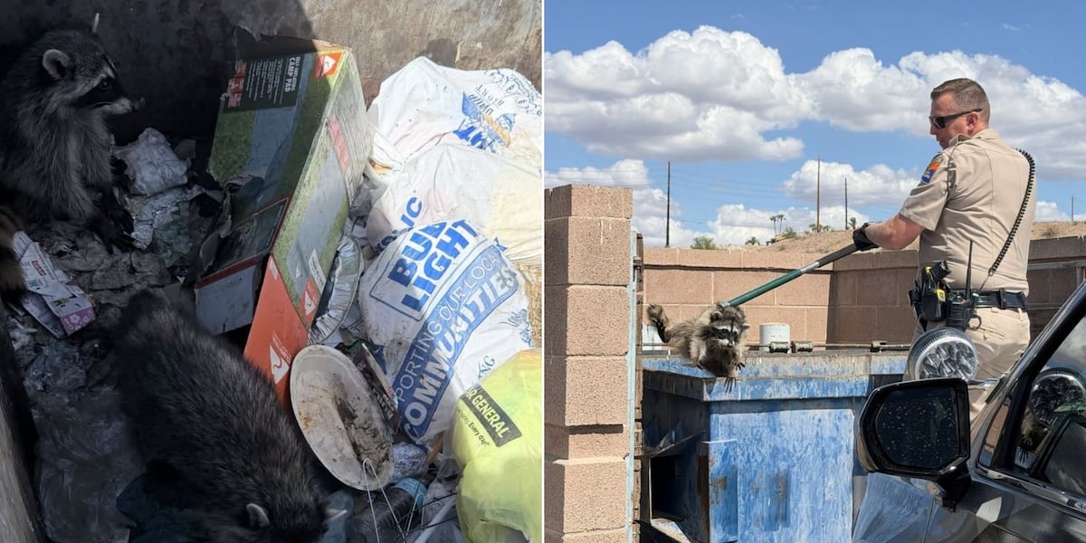 Troopers save trio of baby raccoons from sweltering dumpster in western Arizona
