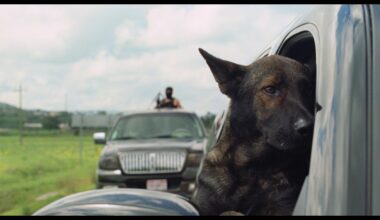 San Sebastian New Directors Title 'Morro' Deals With A Man and His Dog