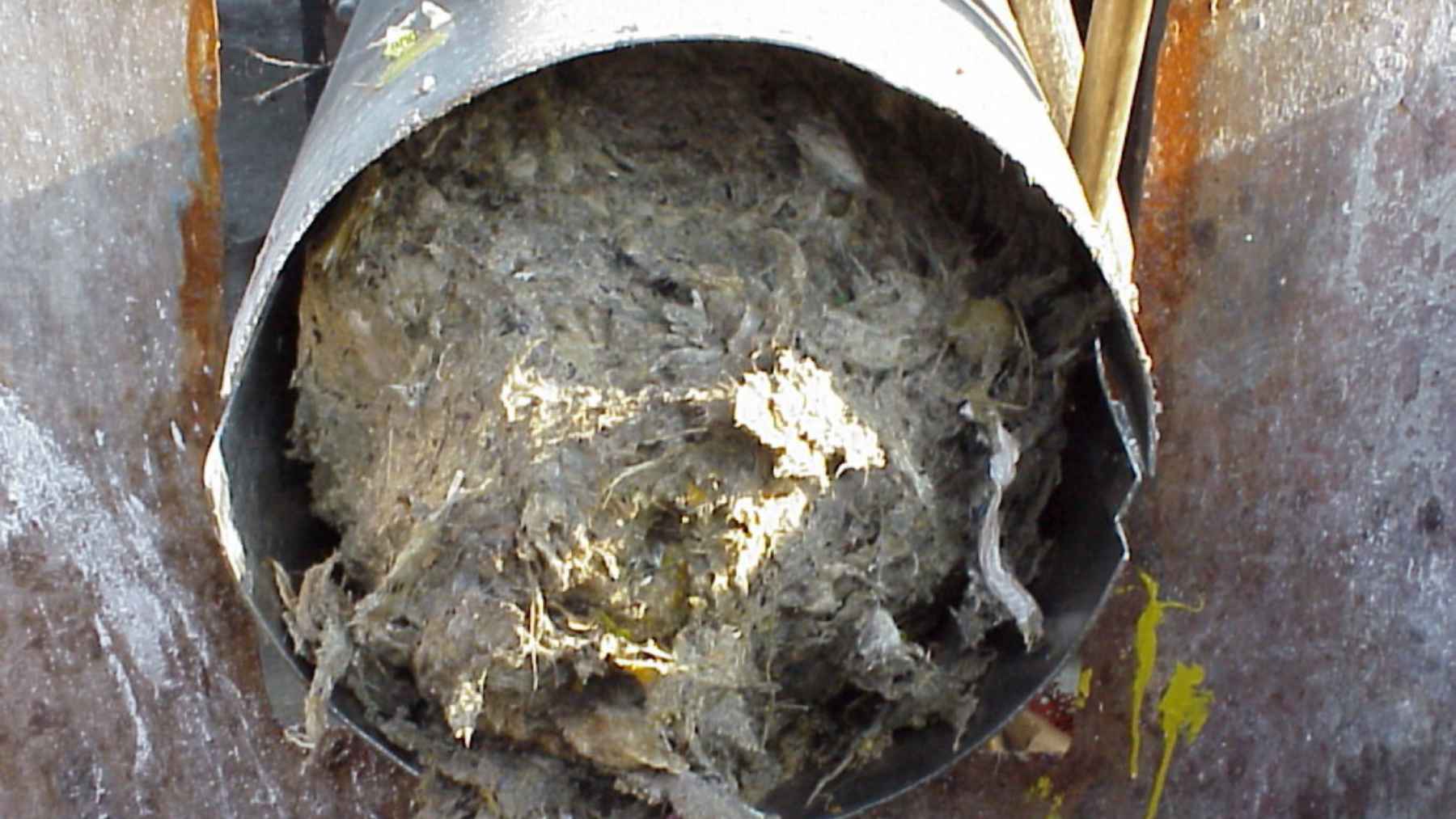 Matted fiber packed in a pipe despite a flushable label