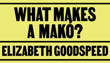 Elizabeth Goodspeed on Szilveszter Makó and the commercial appeal of the auteur