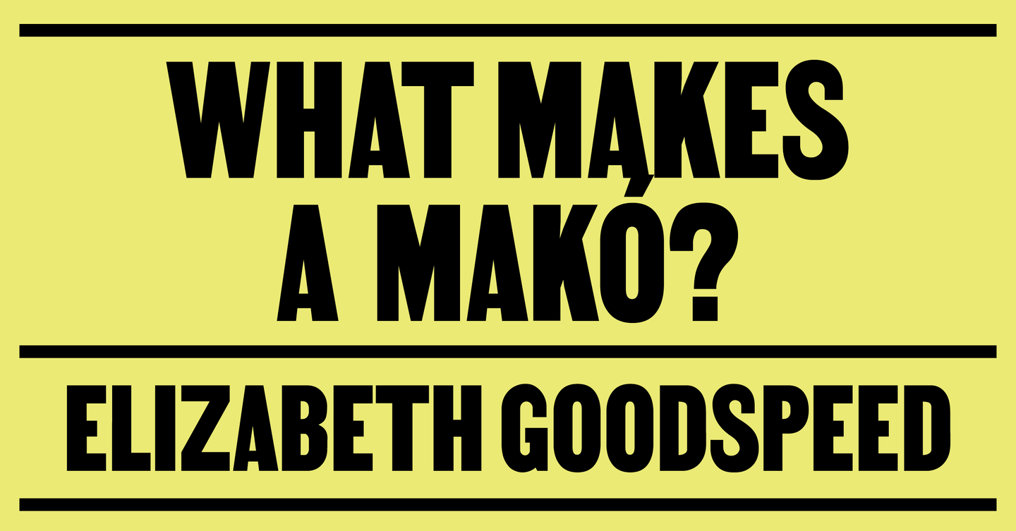 Elizabeth Goodspeed on Szilveszter Makó and the commercial appeal of the auteur