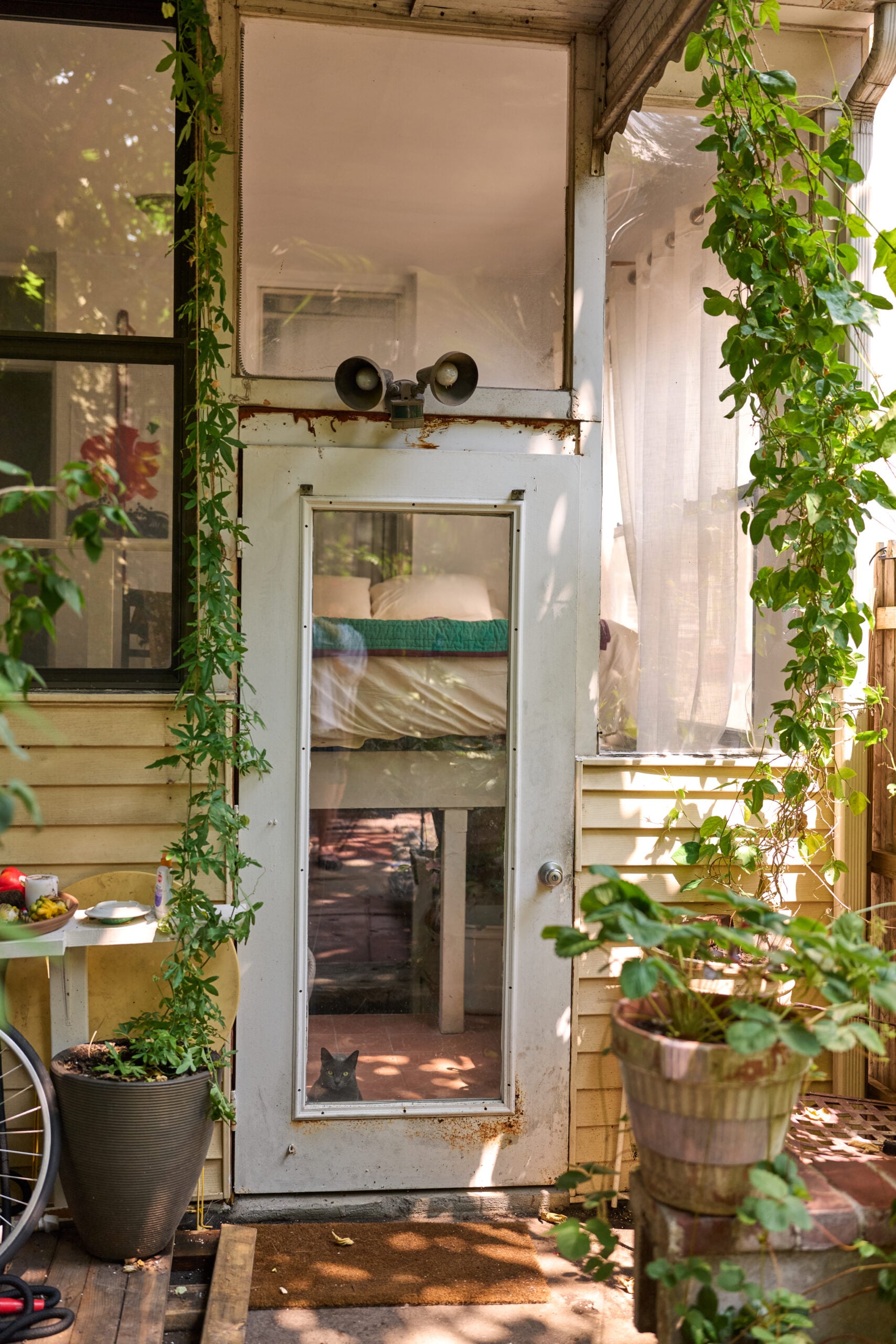 Natasha Pickowicz House Tour
