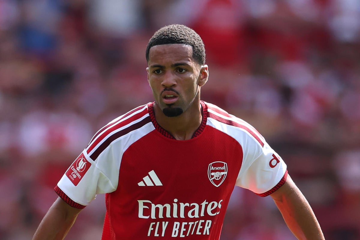 Arsenal’s Ethan Nwaneri set for Borussia Dortmund medical ahead of loan deal