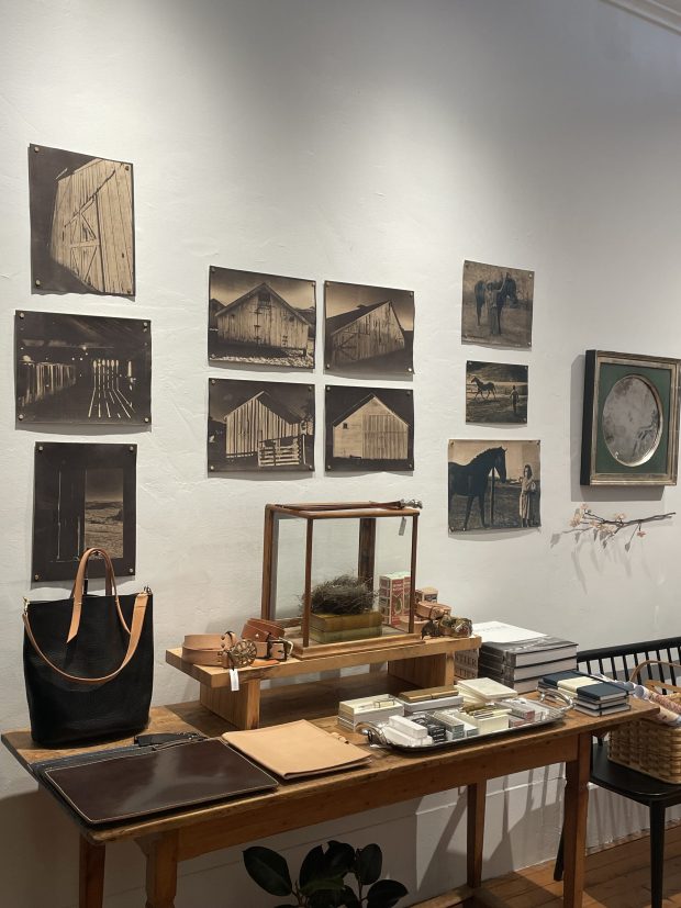 "It's a wonderful way for people to discover the shop," said Jennifer Conner, owner of Petaluma's Pennyroyal Design, describing the rotating art shows she hosts on the walls of her downtown store. (Carin Jacobs)